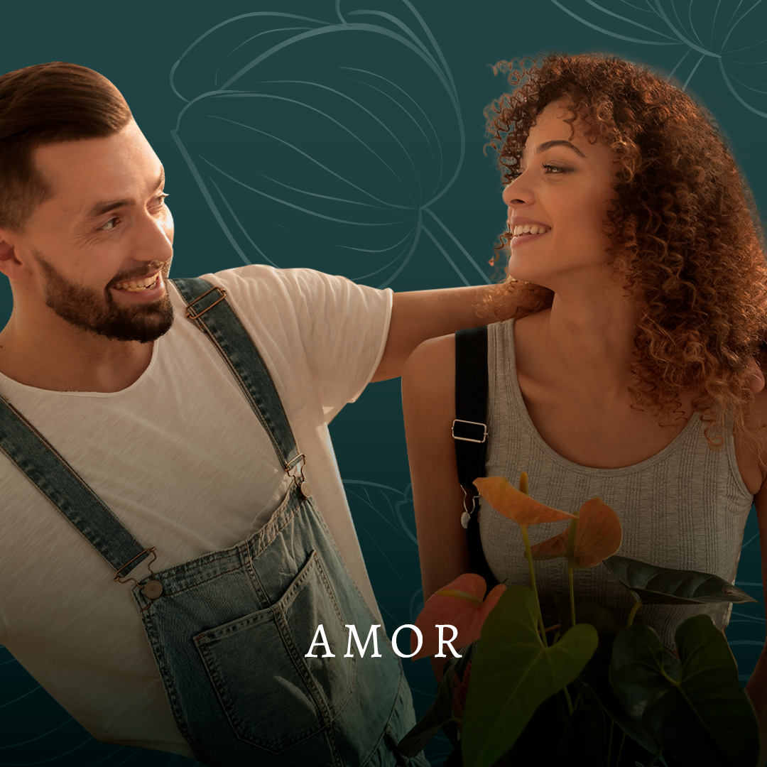 Amor_1_957de6be-a876-4a0e-b0f2-5201bf33d093.png